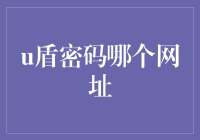 U盾密码的神秘网址：每个互联网银行家的终极秘密