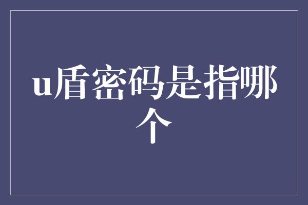 u盾密码是指哪个