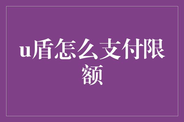 u盾怎么支付限额