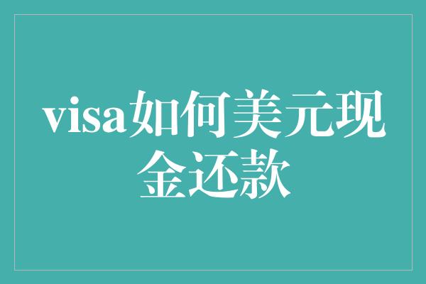 visa如何美元现金还款