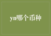 未来货币体系探索：YN币种构建全球化经济新生态