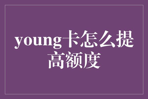 young卡怎么提高额度